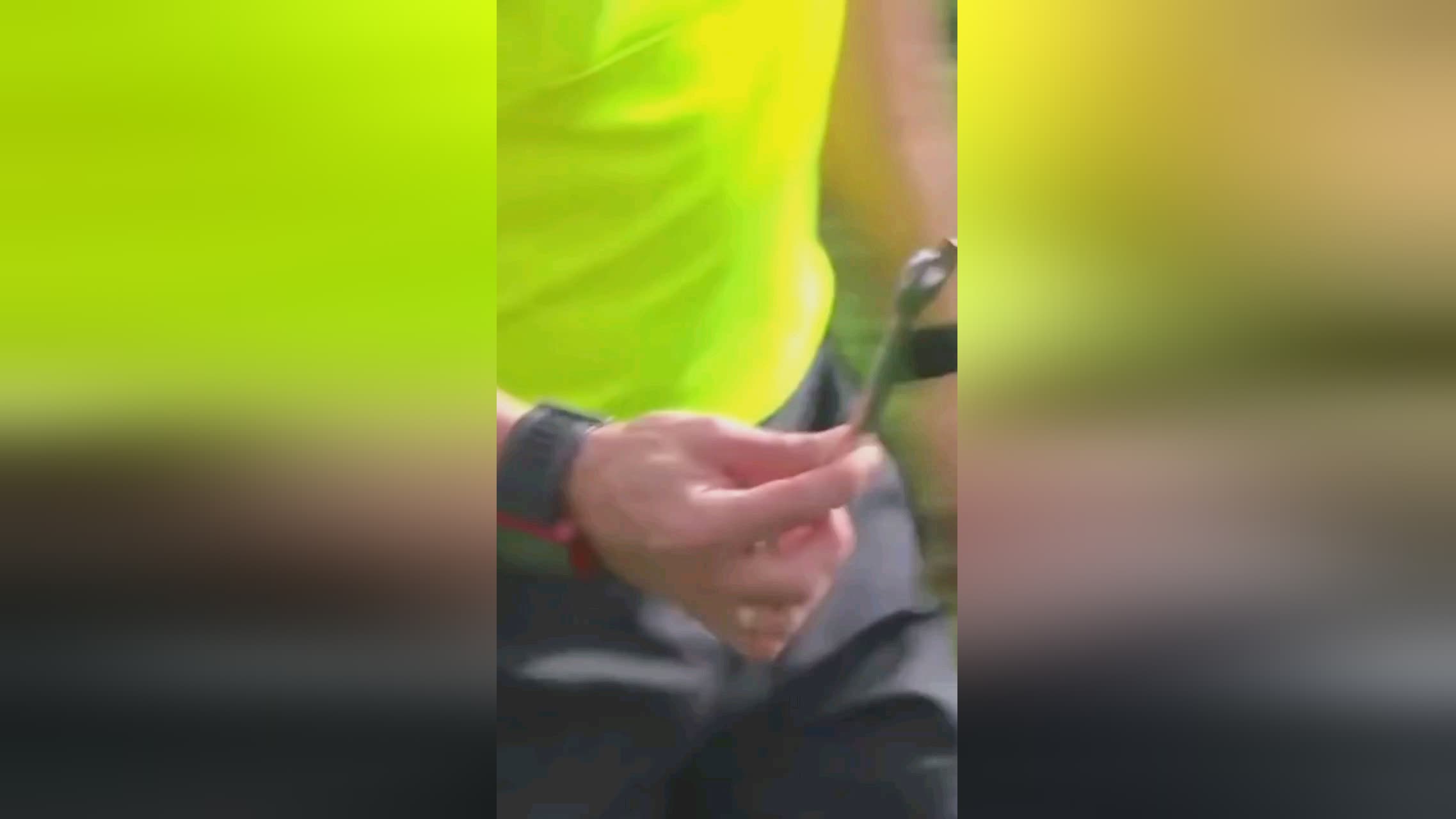 为升