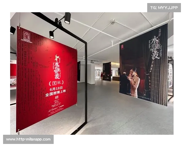 纪念球的意义与文化象征探究 传承与创新的历史印记